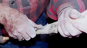 Pair of hands holding a cane (close up of Don Green)